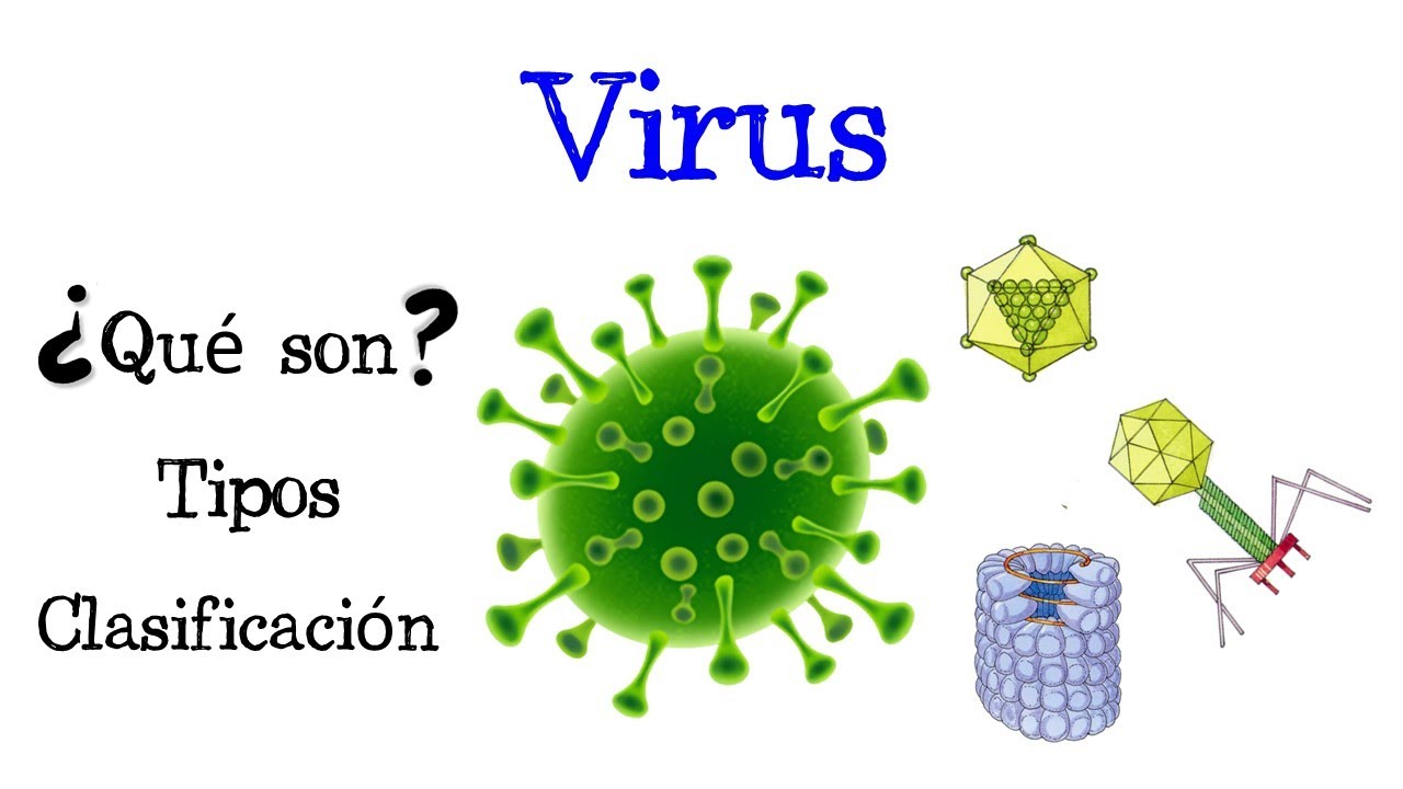 🦠 &iquest;Qu&eacute; son los Virus? 🦠 Tipos y Clasificaci&oacute;n 🦠 [F&aacute;cil y R&aacute;pido] | BIOLOG&Iacute;A |