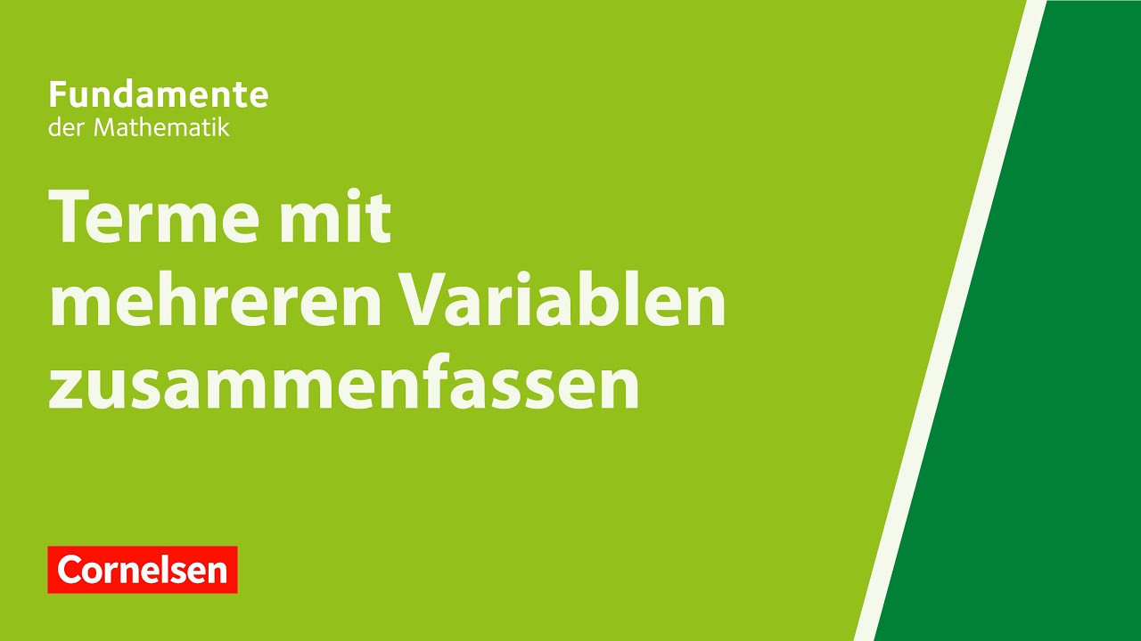 Terme mit mehreren Variablen zusammenfassen | Fundamente der Mathematik | Erklärvideo