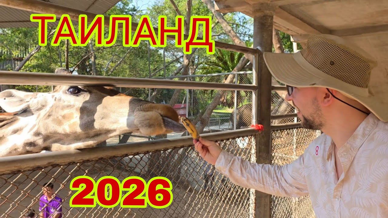 Моя поездка в Таиланд в 2026, все экскурсии паттаи, а так же обзор зоопарка 