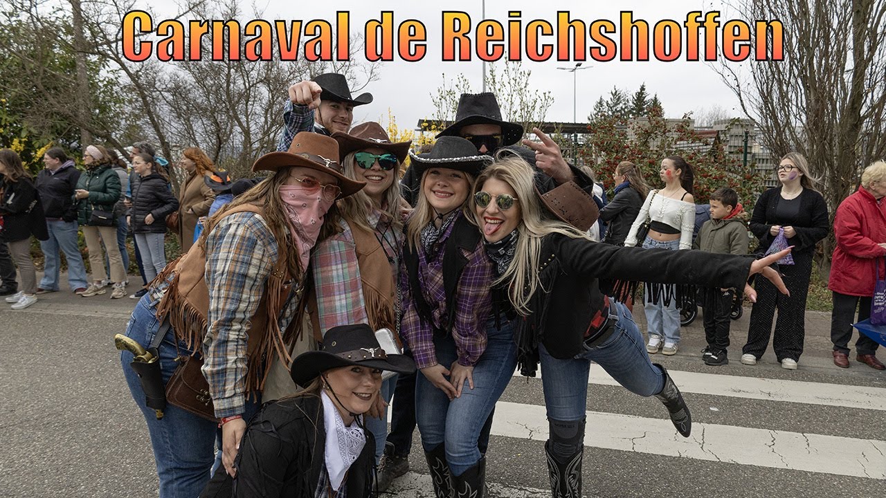 Carnaval de Reichshoffen 2025!  #Reichshoffen  #alsace #basrhin