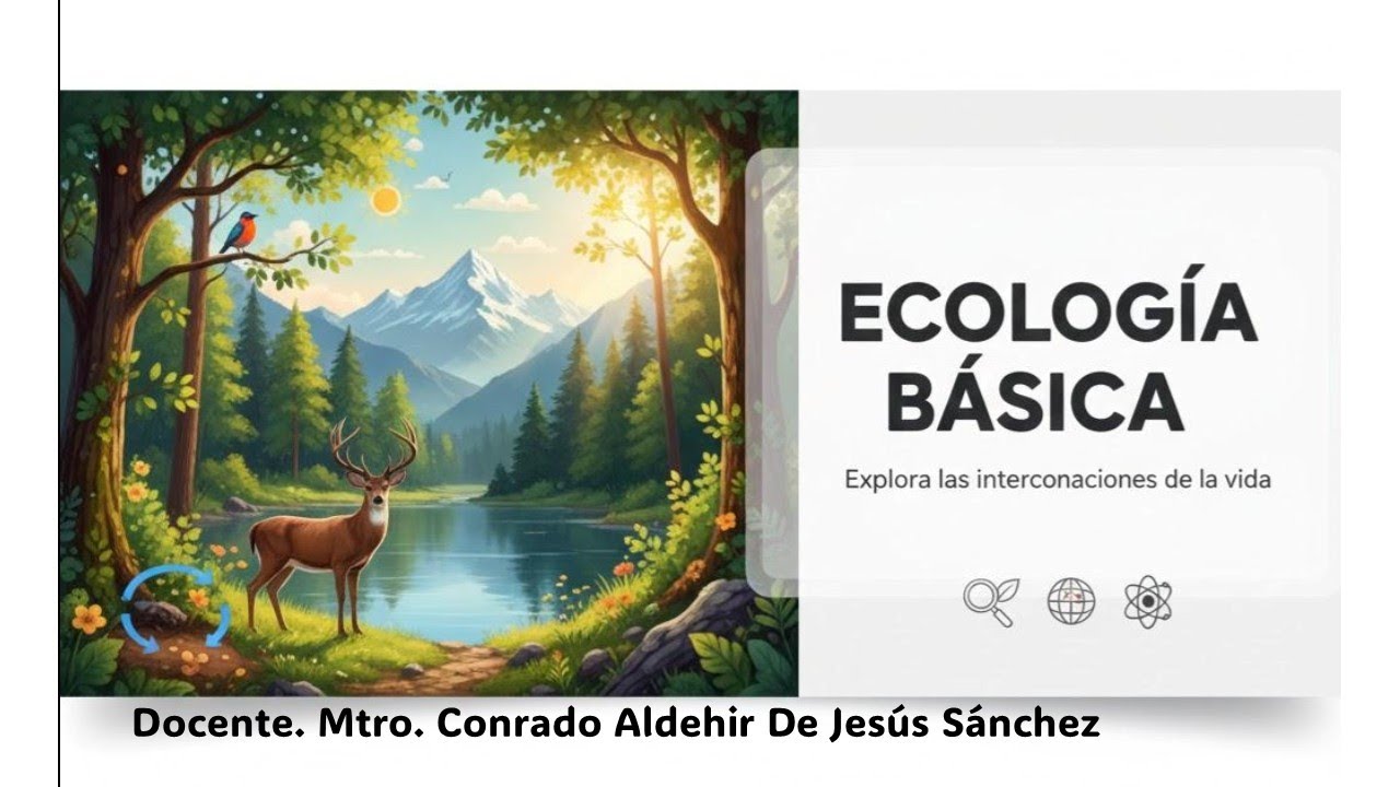 Copia de SESIÓN DE RETROALIMENTACIÓN 3