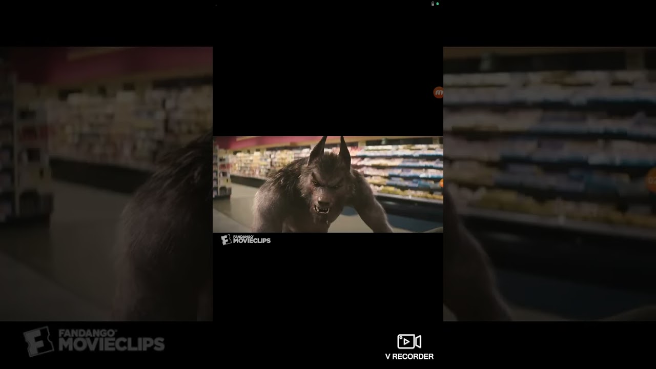 WereWolf Sound Effects (No Barks & Growls) 🐺🔊