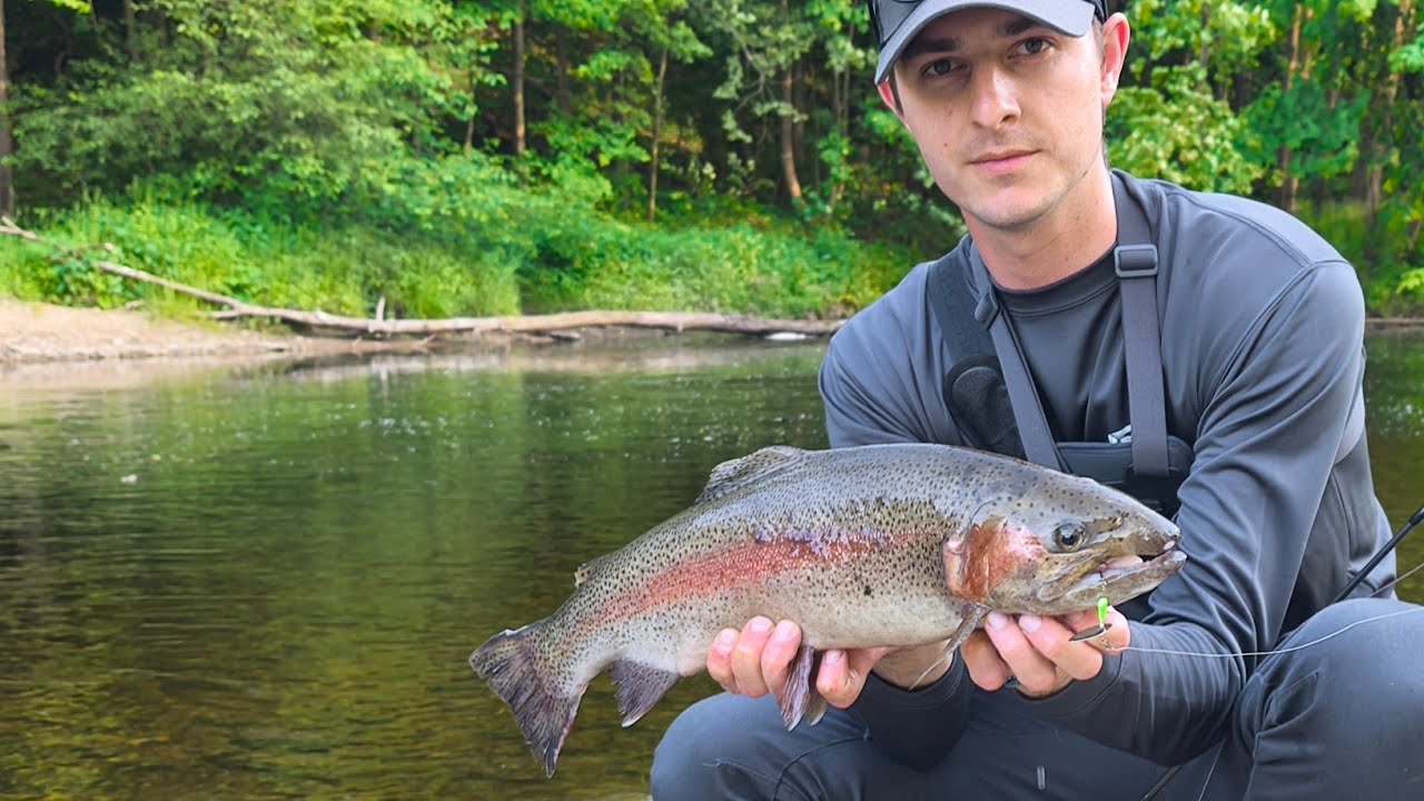 Бонусная Форель‼️И разноцветный улов: Радужка, Палия, Ручьевка!