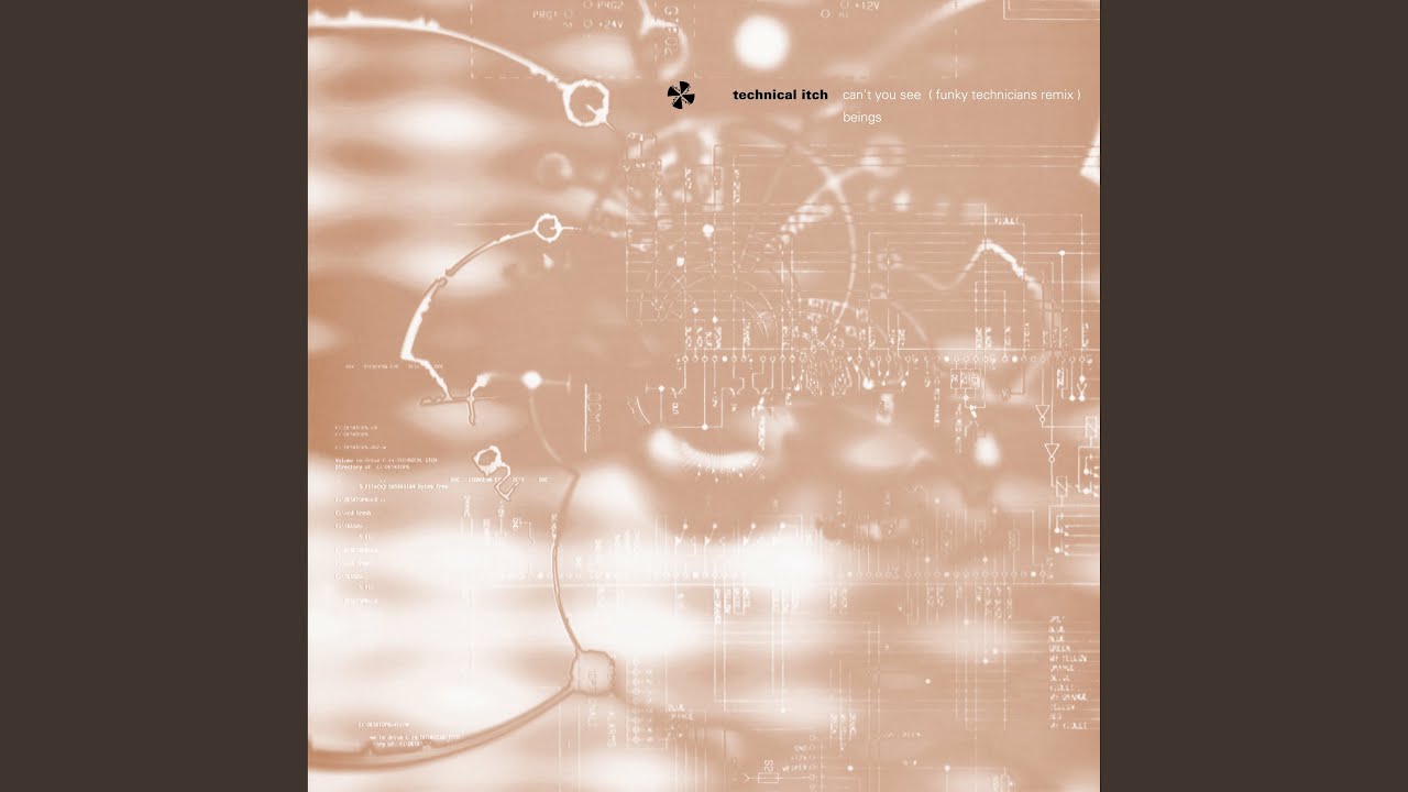 Can't You See (Funky Technicians Remix)