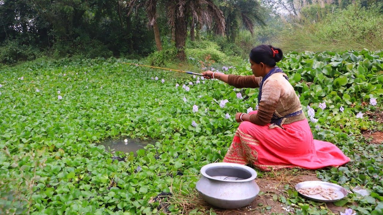 Fish Hunting || The beautiful girl caught fish using different types of food || Best hook fishing