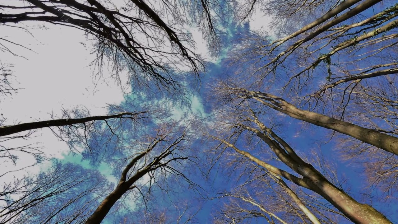 Bakonybéli Borostyán-kút (Szent-kút) kápolna és környéke  2026. 02. 08.