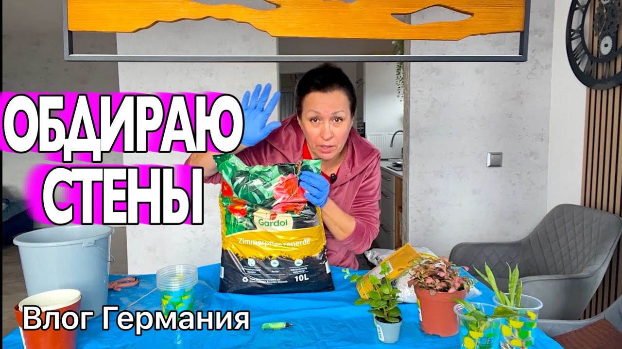 Опять РЕМОНТ / Спасаю ЦВЕТЫ / Тестирую покупки