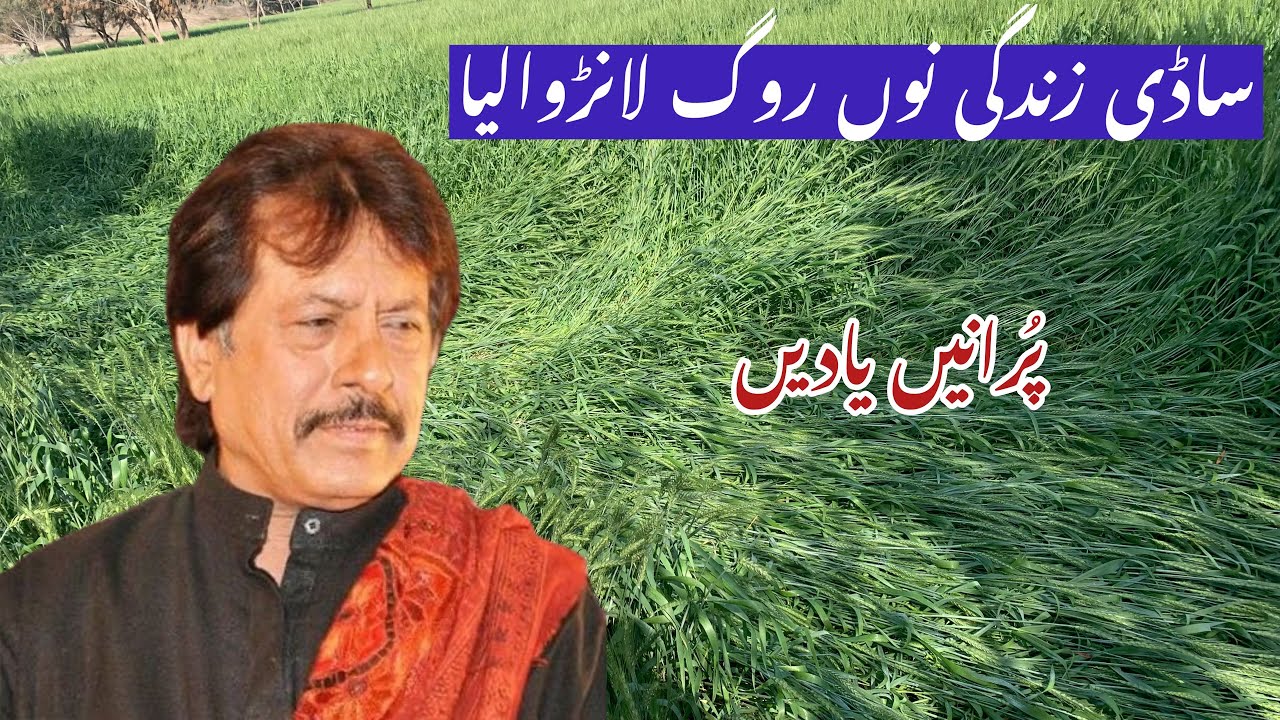 Sadi Zangdi Nu Roog Lar Wala.AttaullahEsaKhelvi