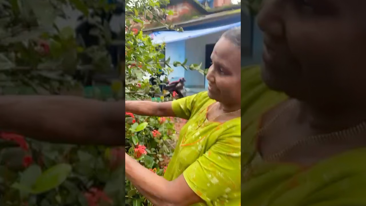 Plucking kaattu THECHI POOV🥀