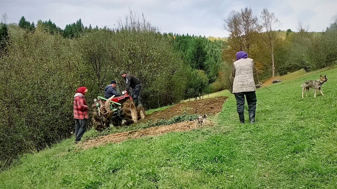 Life in the Carpathian Mountains 🏔️ | Simple Village Days in Autumn