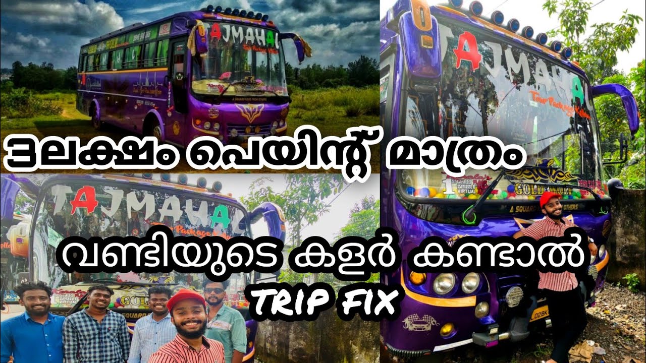 നിറം കൊണ്ടും പേര് കൊണ്ടും കേരള ജനതയുടെ മനസ്സ് കവർന്ന Tajmahal ന്റെ Gold wolf 💜 detailed review