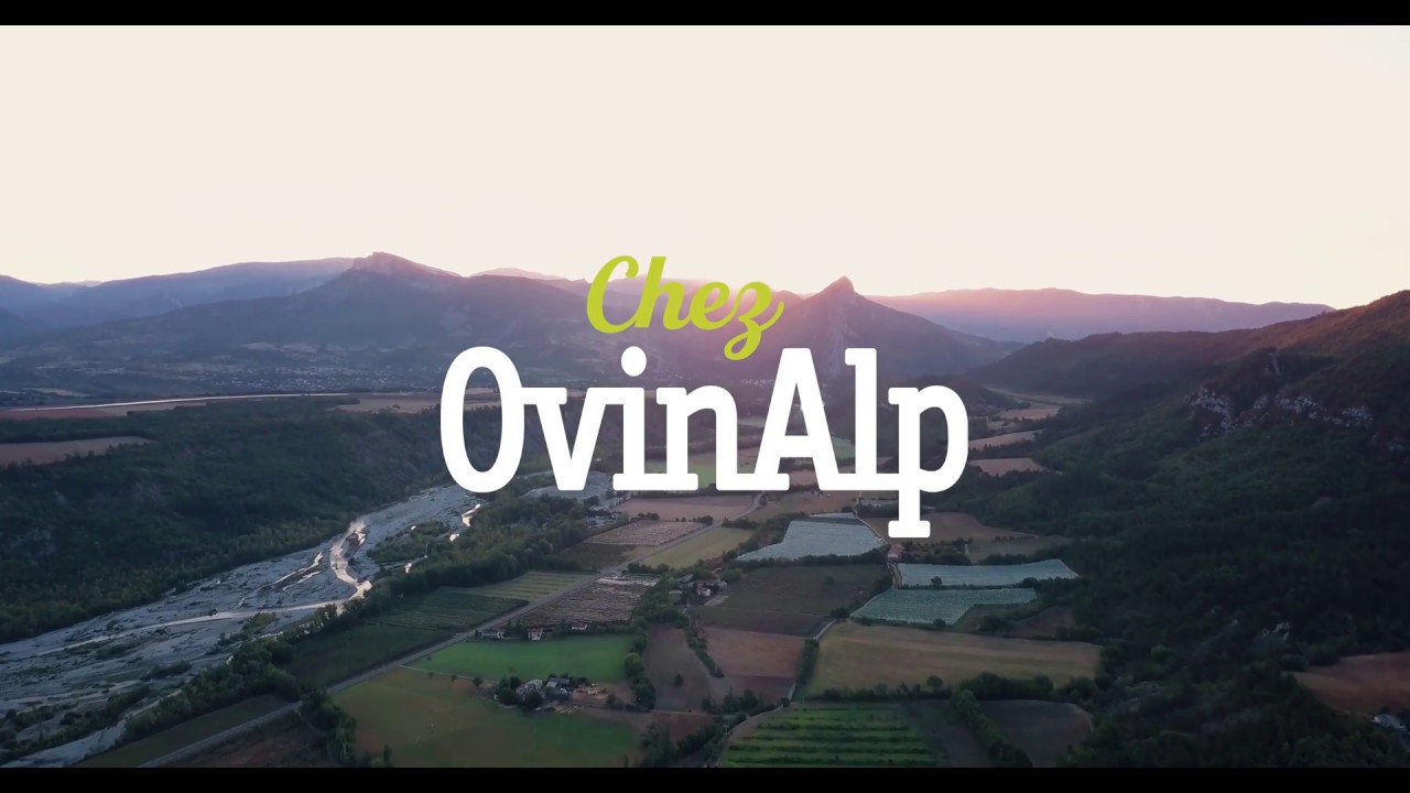 Chez OvinAlp - Découvrez notre site au coeur des Hautes Alpes