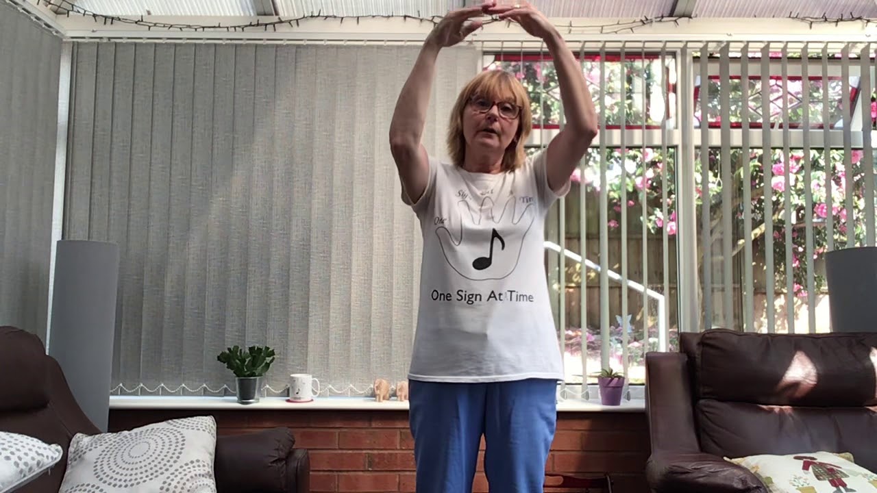 Reach for the Stars, One Sign At a Time,BSL Sign language,