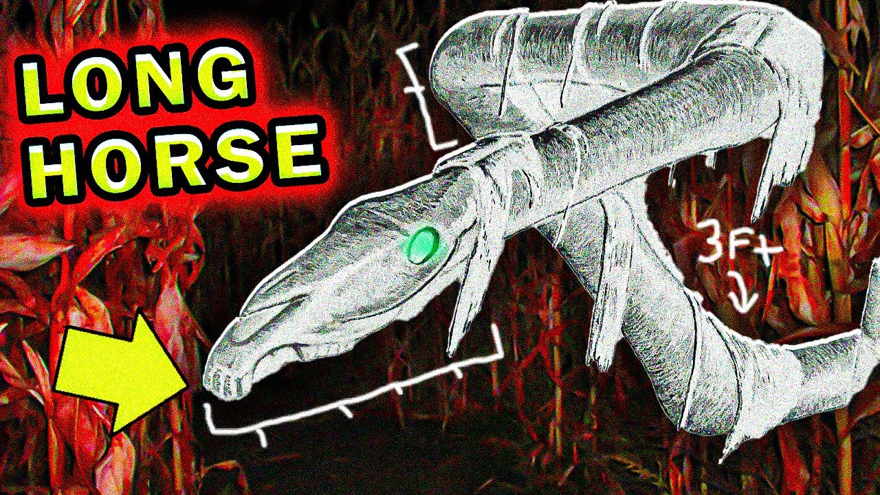 The FULL History & Biology of the Long Horse...