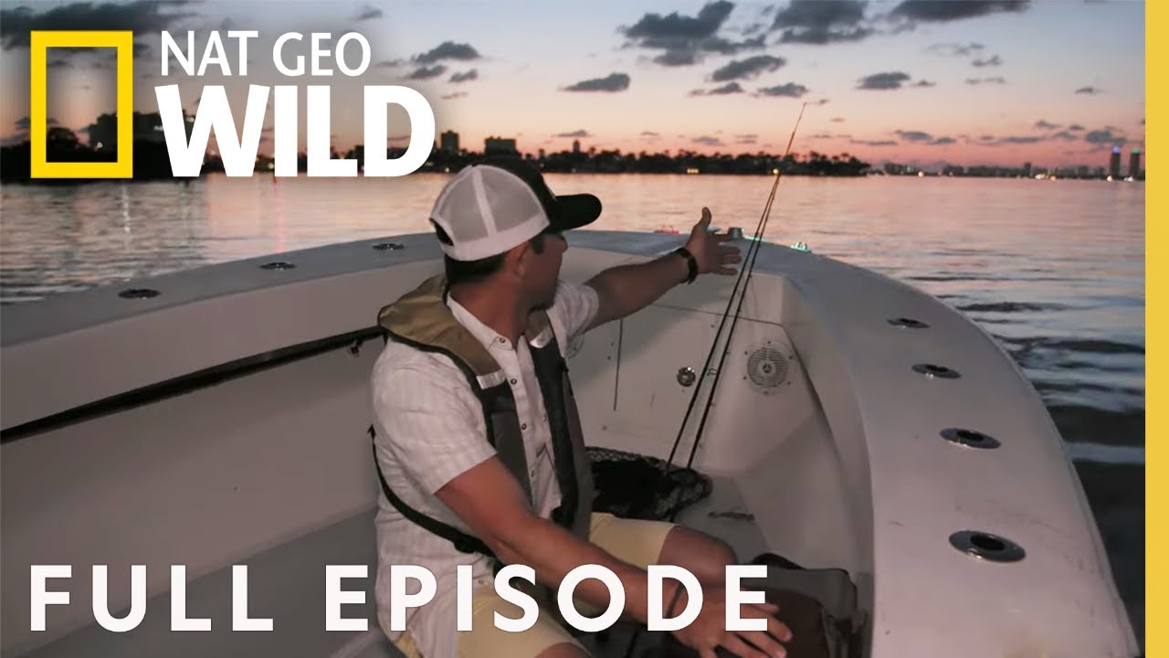 Fastest Fish in Miami (Full Episode) | Fish My City with Mike Iaconelli