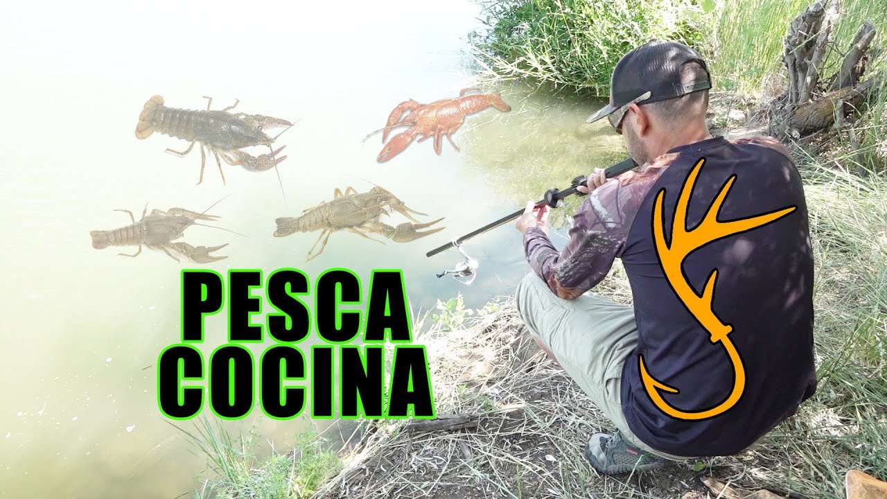 Trampa Y Cerbatana Parte 2 | Caza Y Pesca