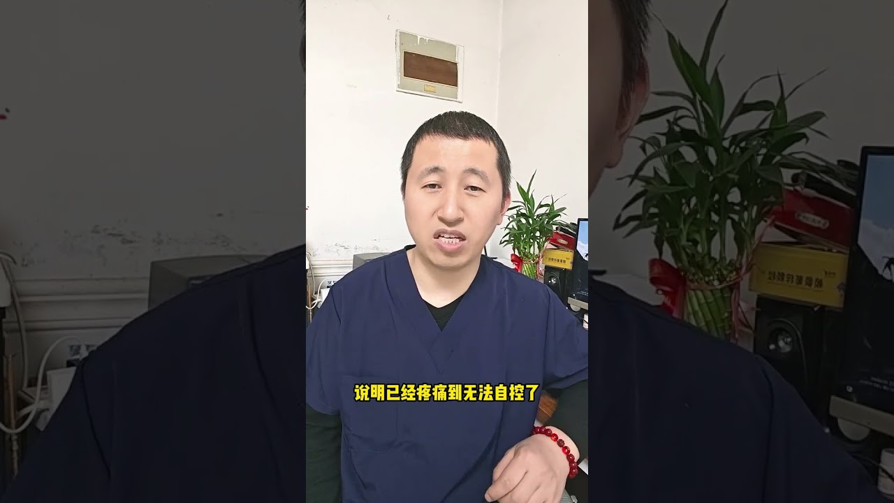 Decoding Your Pooch: Master Dog Sound Interpretation