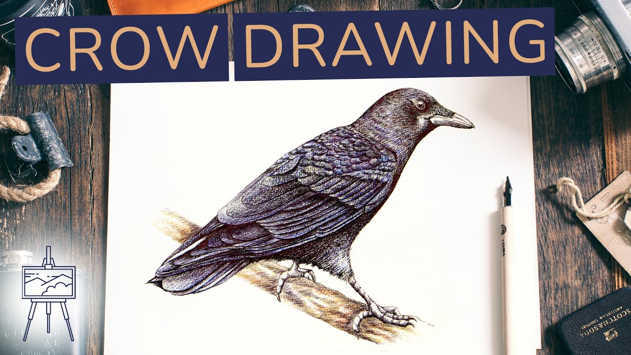 How to Draw a Crow: Realistic Tutorial for Beginners
