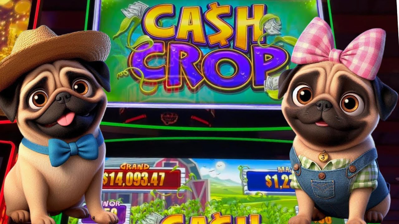 Давайте заполучим этот МАЛЕНЬКИЙ трактор! Игровой автомат Cash Crop | Азартные мопсы