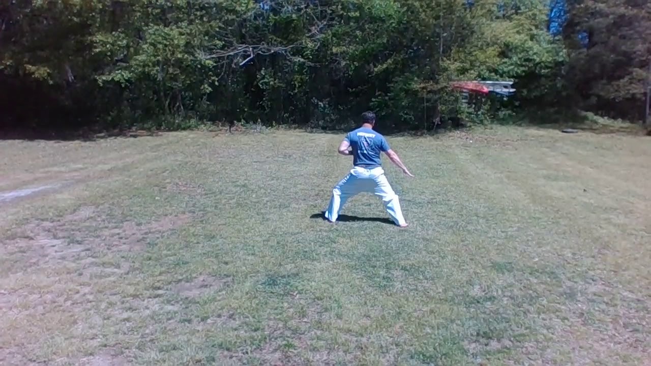 Gekisai Sho Kata
