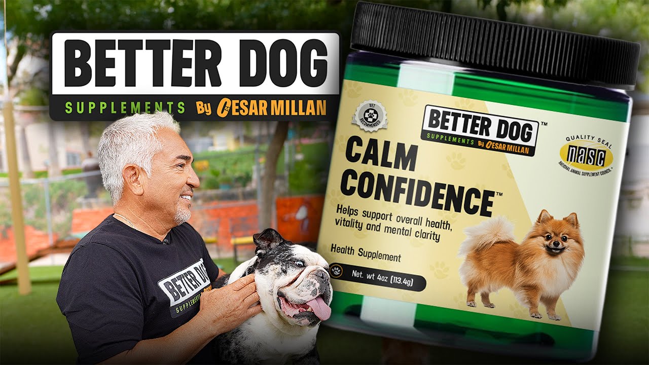 Calm Confidence™ | Cesar Millan’s Formula for Balanced, Focused Dogs