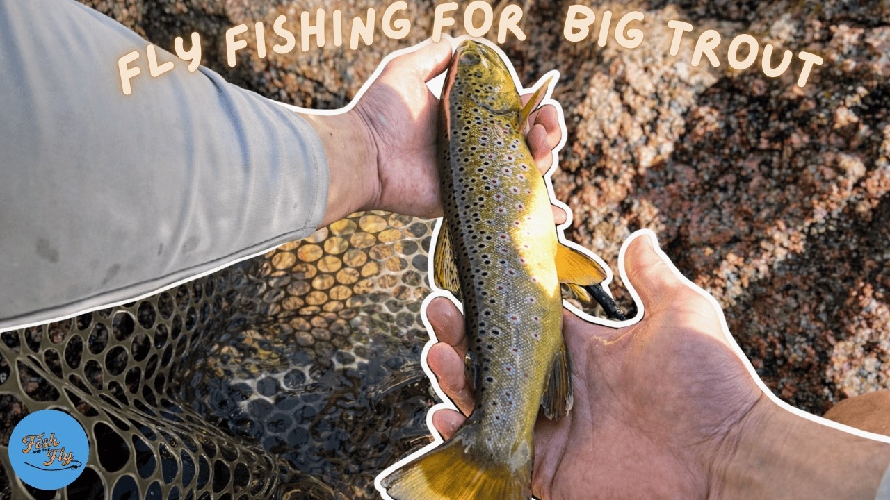 AWESOME Day Fly Fishing Small Creek and Big Lake | WWS S1E3