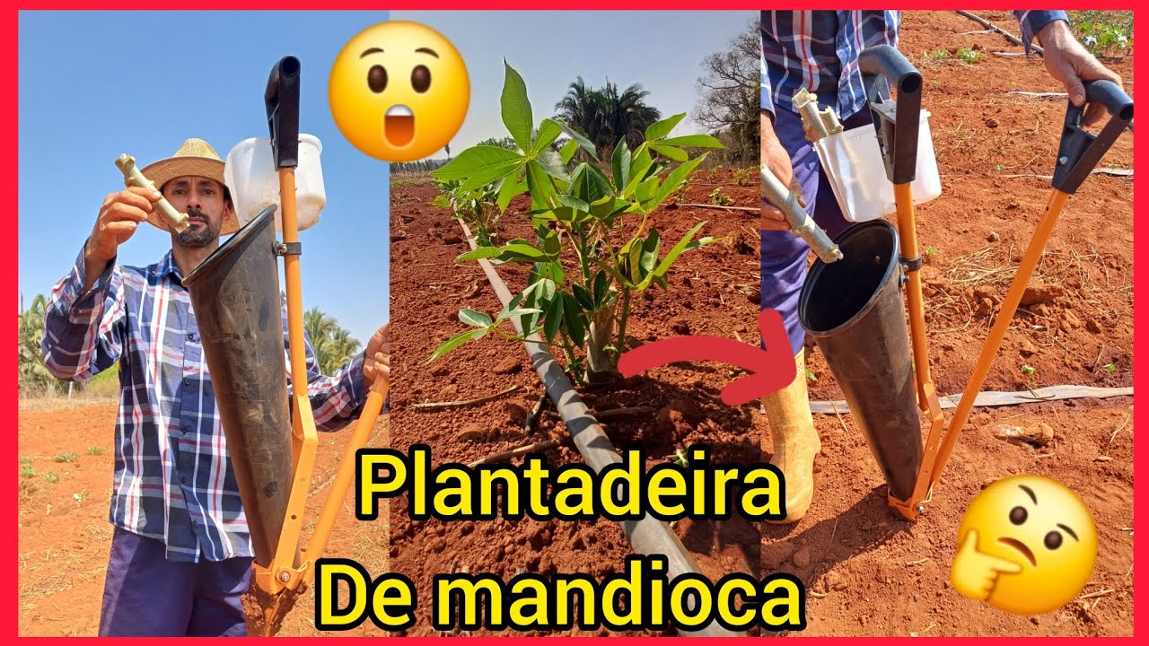 Plantadeira de mandioca, tecnologia e inovação no campo ,facilitando o plantiu para agricultores.