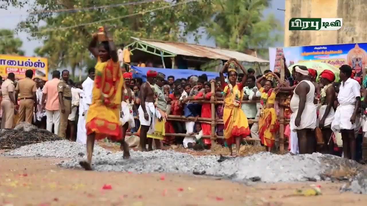 #உலகப் புகழ்பெற்ற ஆவாரங்காடு -2025 ஜல்லிக்கட்டு நேரடி ஒளிபரப்பு உங்கள் பிரபு டிவியில்