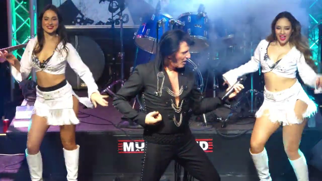 Blue Suede Shoes - ELVIS TO THE T - AT Musicland Melbourne