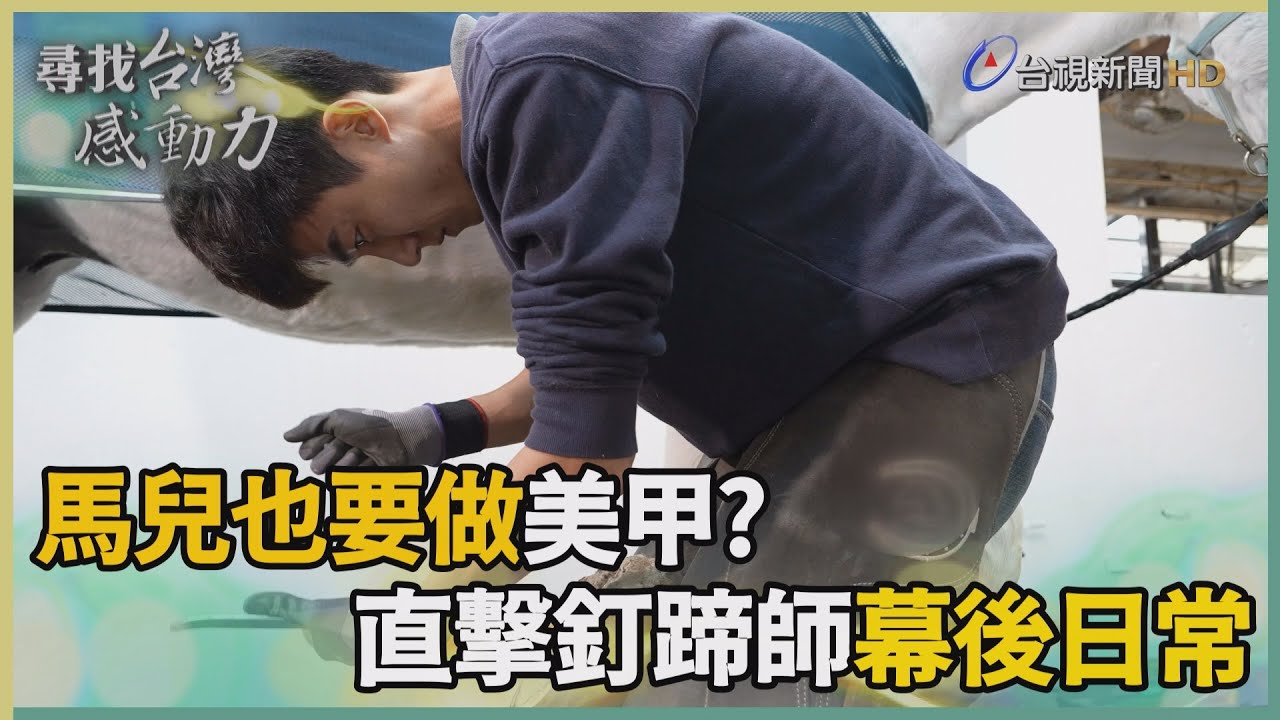尋找台灣感動力-馬背下的釘蹄師 稀缺職業藏匠心