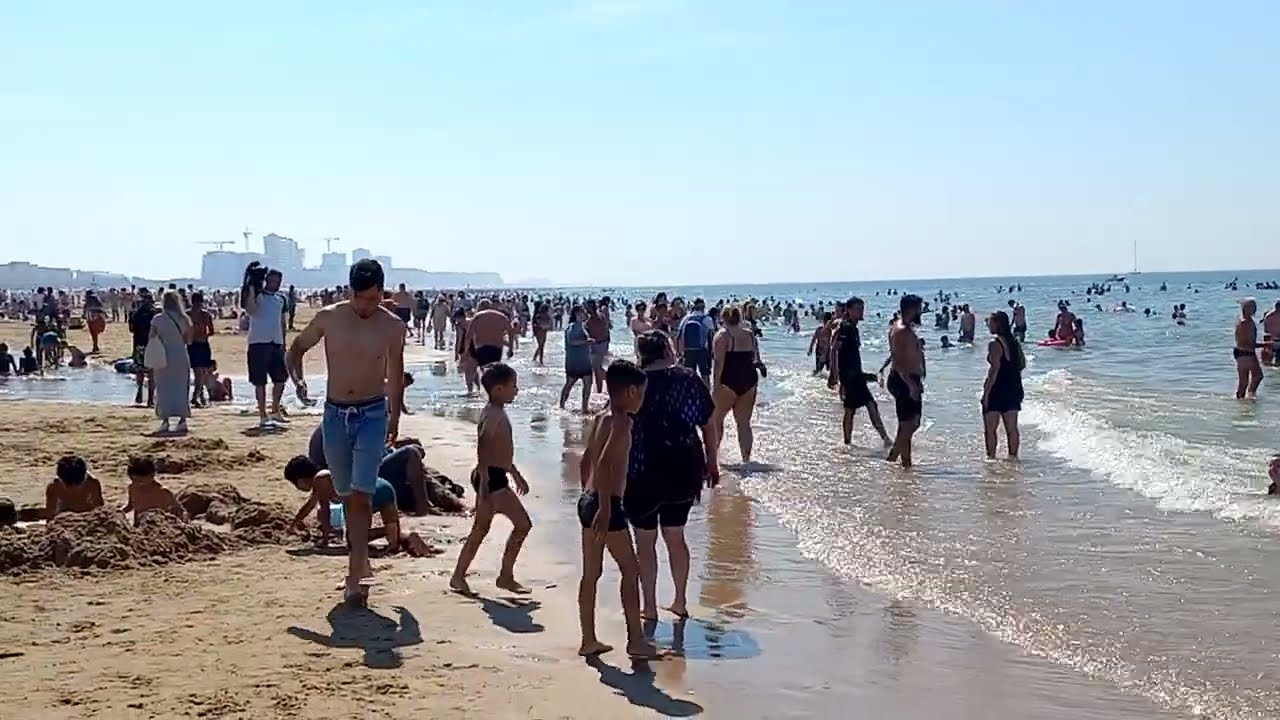 ПОБЕРЕЖЬЕ СЕВЕРНОГО МОРЯ 31 июля 2024 г.