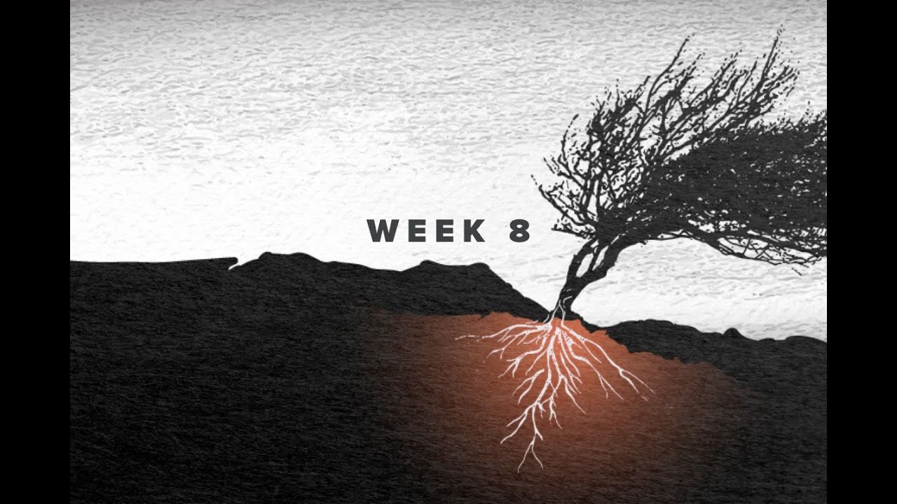 Building A ResilientFaith // Small Groups // Week 8