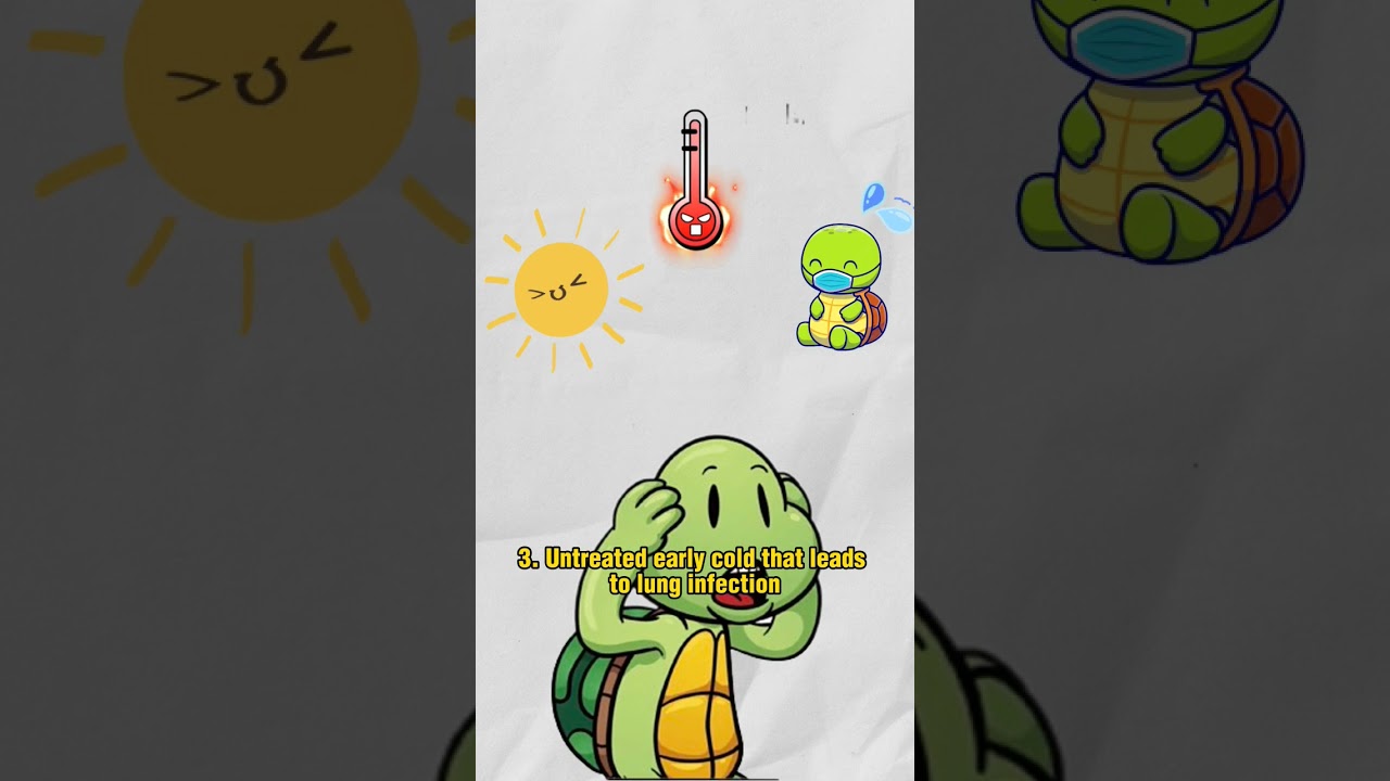 Turtle Disease Symptoms