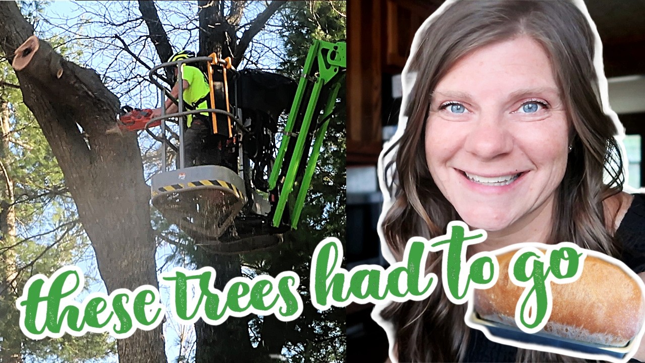 This wasn't an easy choice....cutting down our trees (and baking bread)