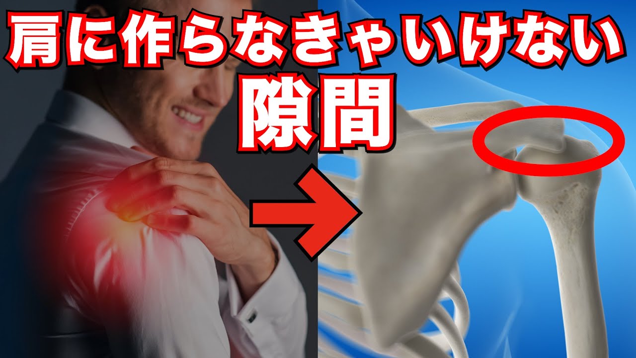 【腱板を鍛えても効果なし！】棘上筋と関節包が癒着すると腱板トレーニングが無駄になります。 #セミナー #セラピスト #リハビリ #神経痛 #リハビリ #解剖学 #柔道整復師 #治療