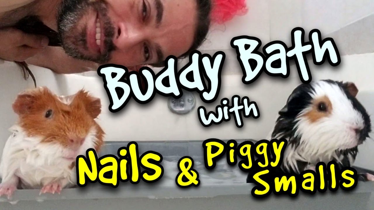 Buddy Bath with Nails and Piggy Smalls
