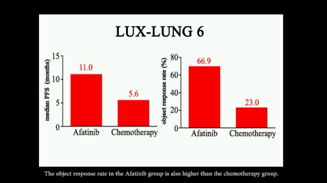 Afatinib in Chinese NSCLC patients &ndash; Video abstract ID 136579