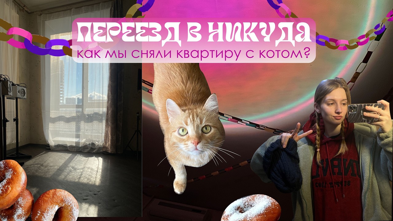 Переезд в никуда, вся жизнь уместилась в багажник. Живем с чужим котом.
