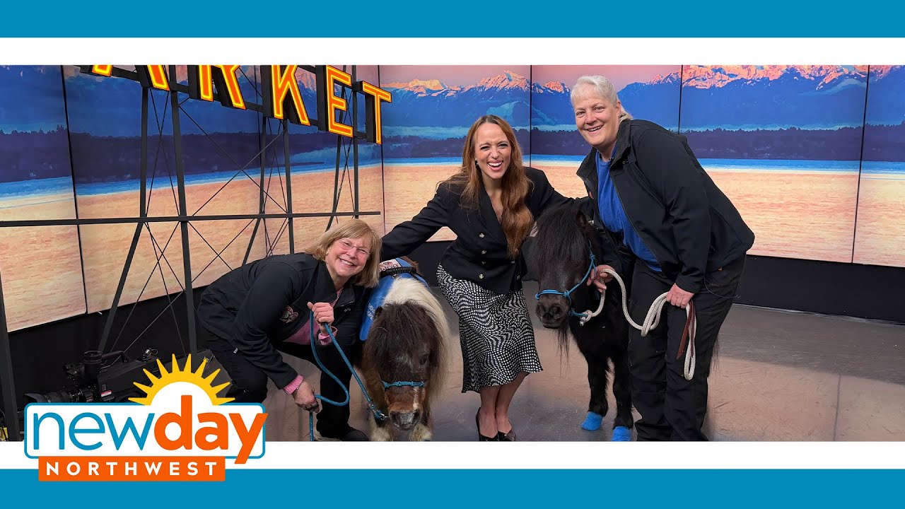 Helping Our Miniature Equines provides a haven for neglected horses - New Day NW