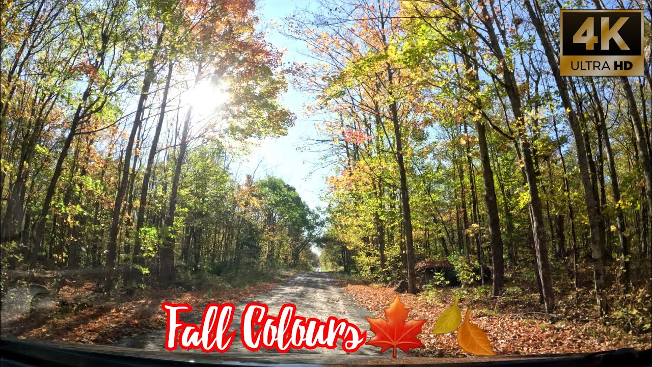 Fall Colours🍁🍂