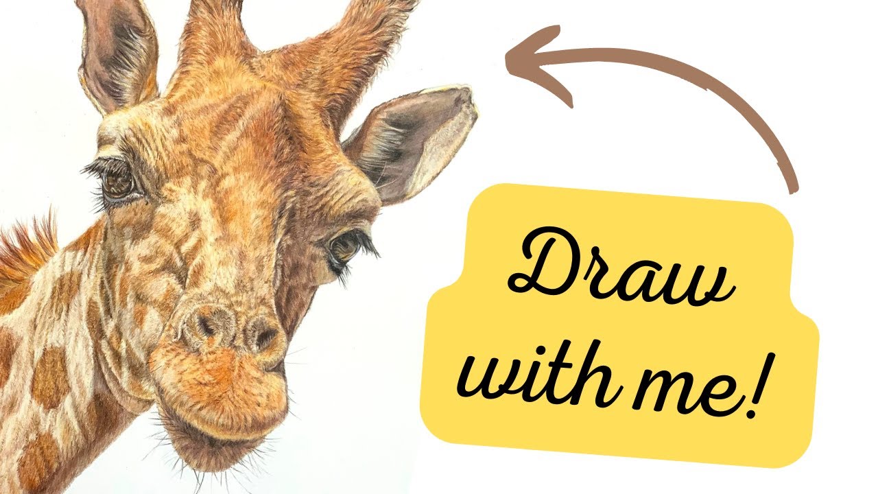 Giraffe zeichnen + Tipps zum realistischen Zeichnen mit Buntstiften