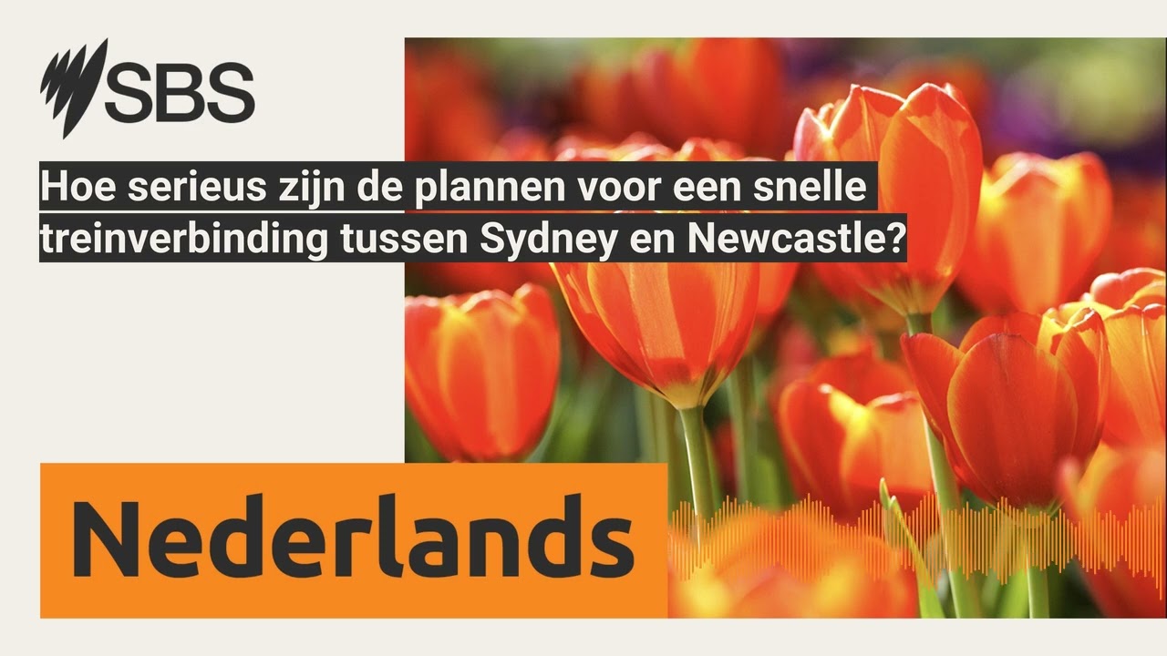 Hoe serieus zijn de plannen voor een snelle treinverbinding tussen Sydney en Newcastle? | SBS...