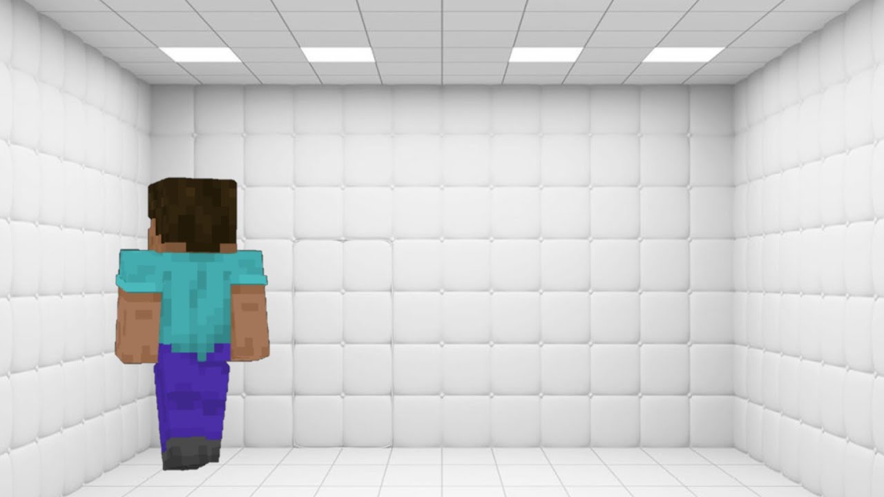 Minecraft Insanity...