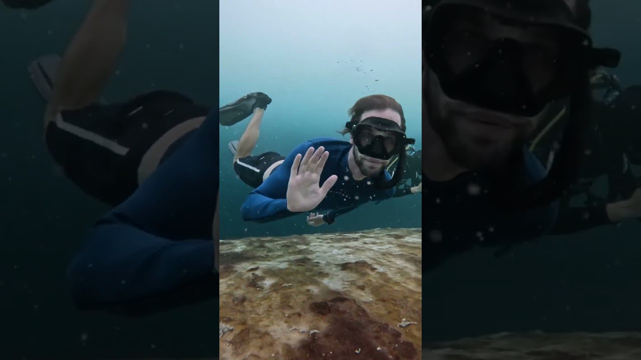 Diving the deepest blue hole in the world #chetumal #mexico #scubadiving #underwater #fyp