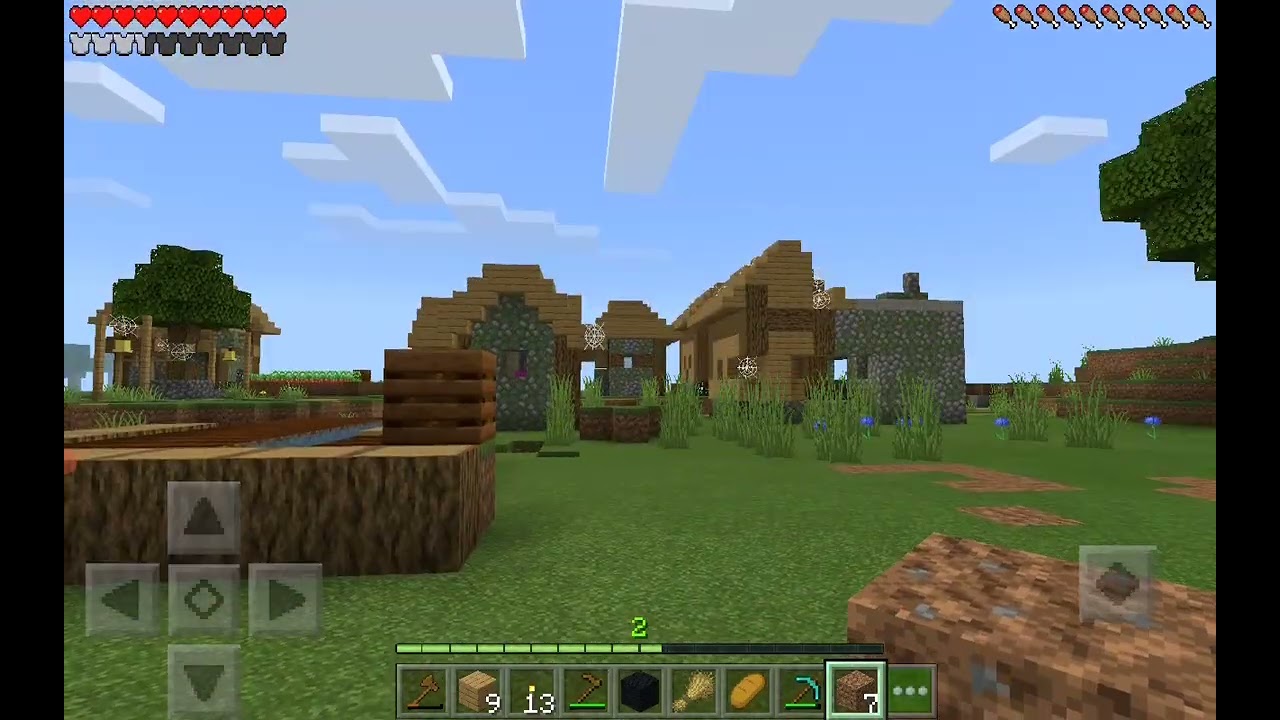 Block crazy but I am make a Farm