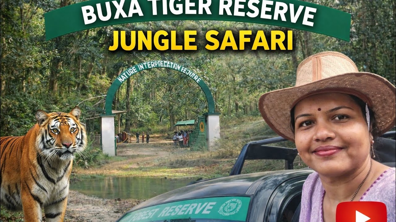 বক্সা টাইগার রিজার্ভ জঙ্গল সাফারি | ডুয়ার্স ভ্রমণ