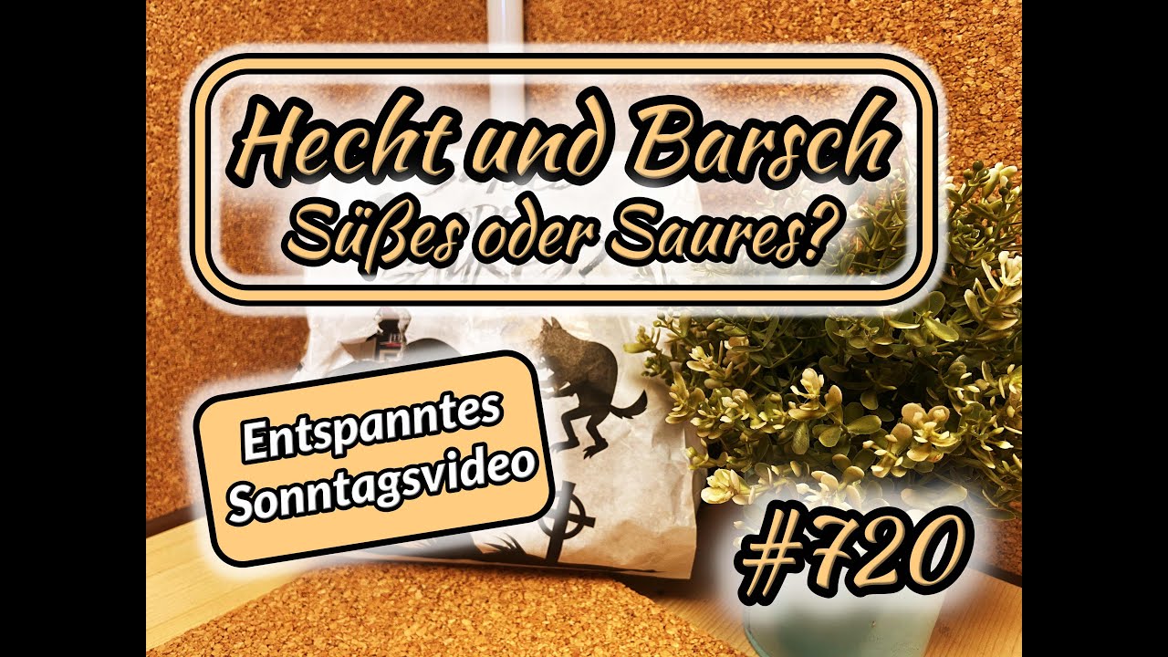 Schon wieder Sonntag, da müssen wir doch was Unboxen! Hecht und Barsch Süßes oder Saures Tüte 2!