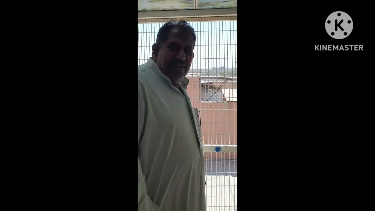 رمضان كريم هاذا سباق بغداد وحصلنا على المركز الاول بلطير الاحمر امهاته  سلالت بطل لكويت ثامر لراشد