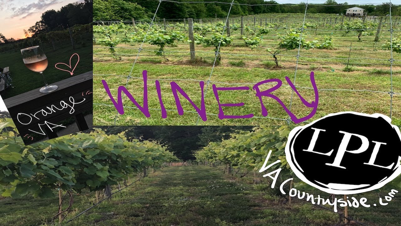 Orange, Va - FOR SALE | FARM WINERY - 60+\- ACRES