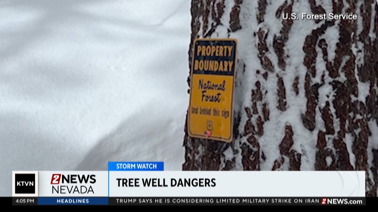 The dangers of tree wells